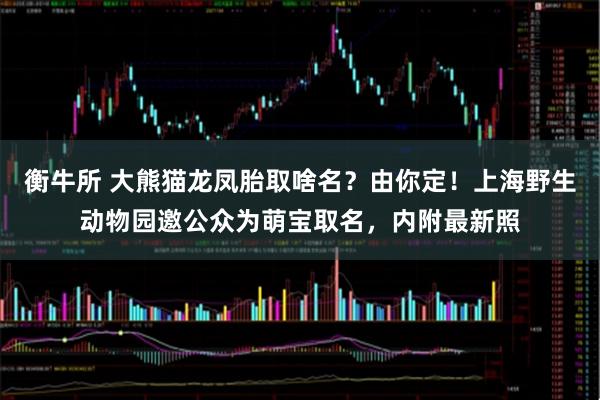 衡牛所 大熊猫龙凤胎取啥名？由你定！上海野生动物园邀公众为萌宝取名，内附最新照