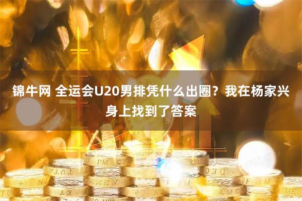锦牛网 全运会U20男排凭什么出圈？我在杨家兴身上找到了答案
