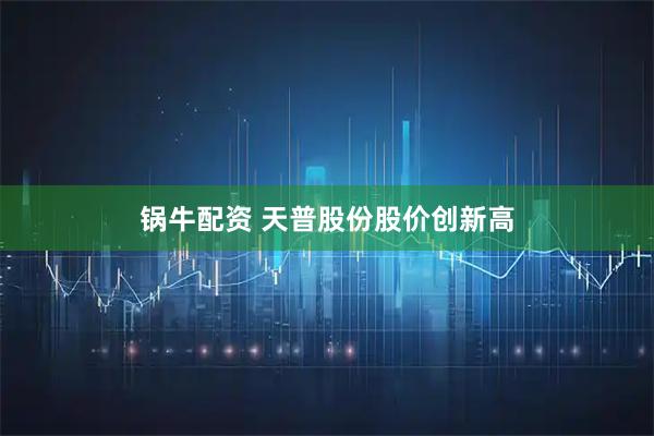 锅牛配资 天普股份股价创新高