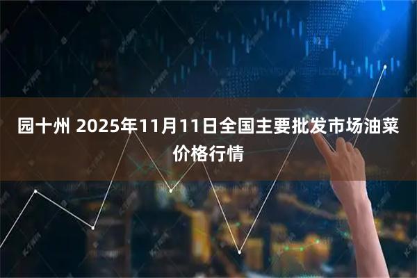 园十州 2025年11月11日全国主要批发市场油菜价格行情
