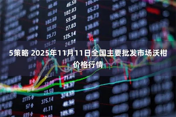 5策略 2025年11月11日全国主要批发市场沃柑价格行情