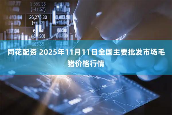 同花配资 2025年11月11日全国主要批发市场毛猪价格行情