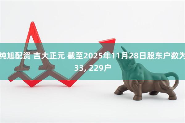 纯旭配资 吉大正元 截至2025年11月28日股东户数为33, 229户